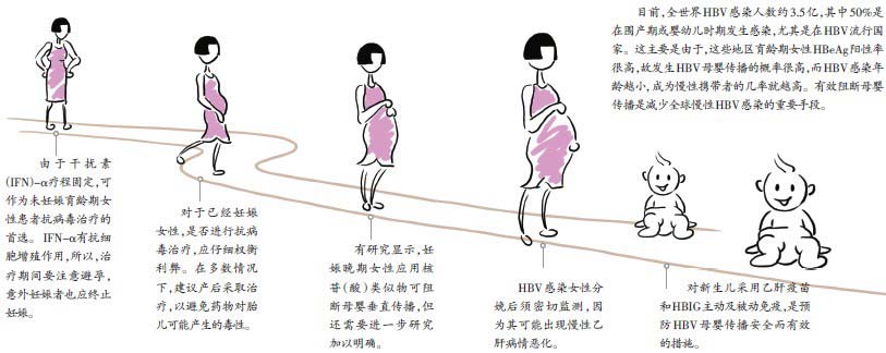 孕妇抗HBV治疗及母婴传播的阻断