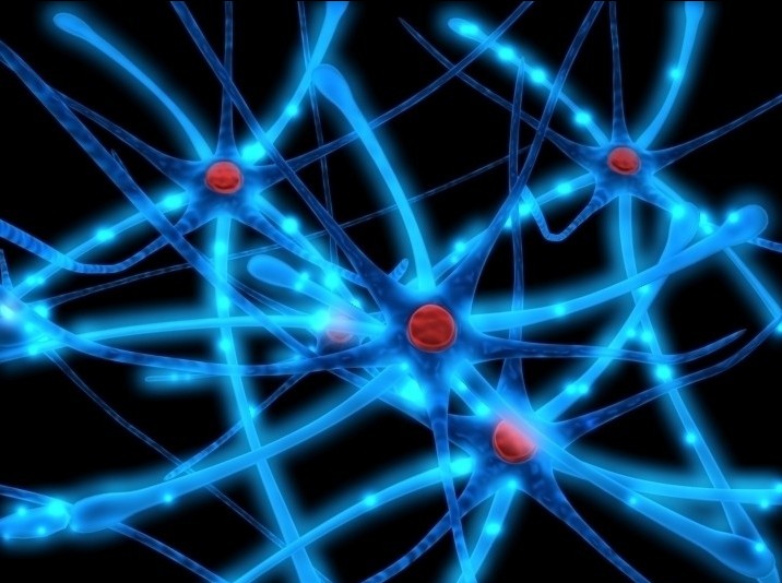 用其他蛋白质食物替代红肉可能会使卒中风险降低（Stroke.2012 Mar;43(3):637~44. Epub 2011 Dec 29）