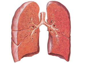 肺癌药物Reolysin中期试验结果达标