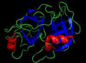 蛋白酶激活受体-2在急性坏死性胰腺炎肠黏膜组织中发挥重要作用