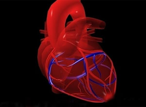 射血分数正常的心衰患者（HFPEF）的卡维地洛治疗策略（Eur J Heart Fail. 2013 Jan;15(1):110-118. Epub 2012 Sep 14）