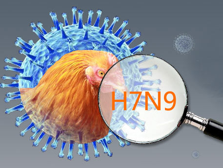 卫计委称H7N9疫情通报在规定时间之内完成