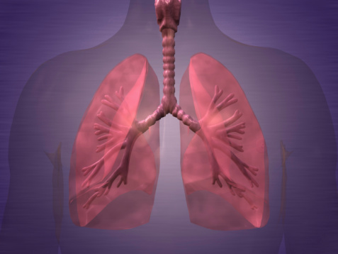 HER2靶向药物或可用于治疗部分肺癌患者