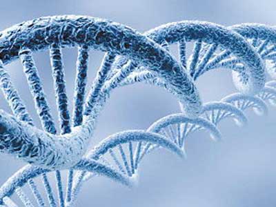 全基因组测序发现肝癌基因突变