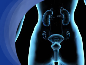 培美曲塞联合顺铂治疗晚期、持续性或复发性宫颈癌