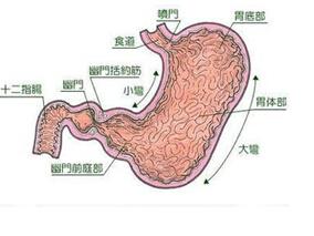 PPI并非重症脓毒症或脓毒性休克患者应激性溃疡预防的首选药物