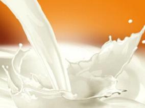 大量牛奶摄入不能防骨折 过量服用或升高死亡率