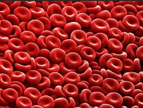 危重患者中PCT血浆浓度与脓毒血症严重程度和死亡率的关系