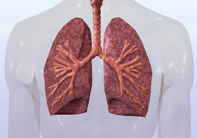 环境污染成肺癌推手 中国或成肺癌第一大国