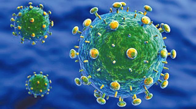 南非科学家称找到艾滋病毒抗体