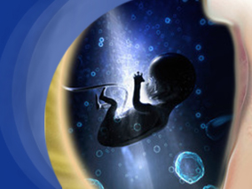 胎儿暴露于NSAIDs是自发性流产的独立危险因素吗？