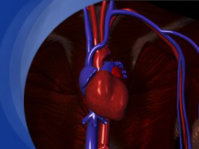 他汀治疗患者动脉粥样硬化血脂异常与残余心血管风险高度相关