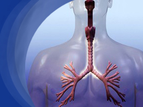 乙酰半胱氨酸对特发性肺纤维化患者的用力肺活量没有显著保护益处