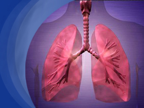 局部短效钠通道阻滞剂未能改善囊状纤维化患者的呼吸状况