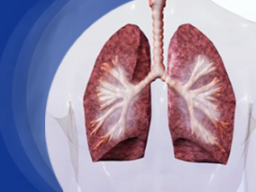 厄洛替尼同多西他赛对晚期非小细胞肺癌患者生存期的改善对比