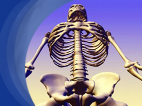 WHO标准应作为男性骨质疏松诊断标准