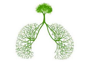 肺部CT血管成像：低剂量碘克沙醇不损害图像质量