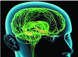 新成像技术可快速精准探测脑瘤