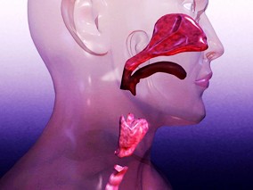 头颈部癌支持治疗的迟发效应研究进展