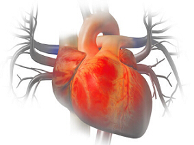 心脏手术后静脉栓塞的发病率及血栓预防的获益和风险