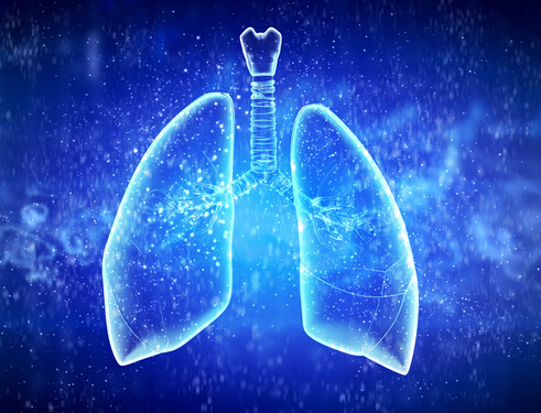 肺量计检查指标在慢阻肺诊断中的争议及展望
