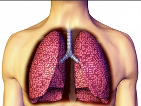 辅助化疗可为可切除早期非小细胞肺癌患者带来获益