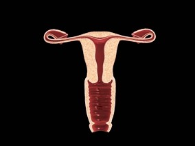 晚期卵巢癌生存的社会人口统计学差异和对治疗指南的依从性