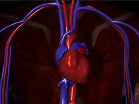 心肌梗死后不同死亡风险患者长期持续二级预防治疗的情况