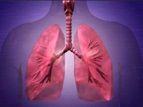 吸入布地奈德对肺结节的长期疗效