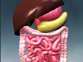 胃肠和腹膜结核的间歇性直接观察治疗是否有效？
