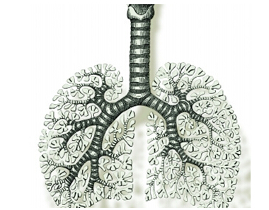 研究人员发现致死性肺病潜在治疗方法