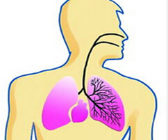 二甲双胍或可作为肺结核一线治疗的潜在联合治疗药物
