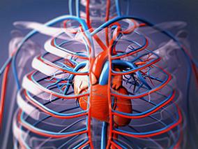 常规西药联合通心络或可预防CHD患者PCI后心血管事件的复发