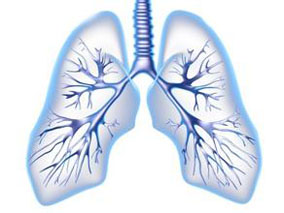 多西他赛联合奈达铂治疗晚期鳞状细胞肺癌显著优于联合顺铂