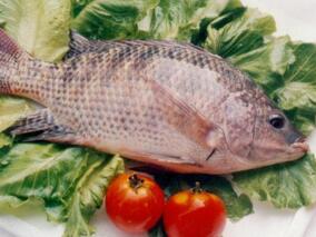 尿酸高不能吃鱼 改变烹饪方式就可放心食用