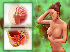 HER2-阴性转移性乳腺癌一线治疗：贝伐珠单抗联合卡培他滨还是紫杉醇