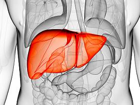 预防肝硬化患者的静脉曲张出血：卡维地洛vs普萘洛尔