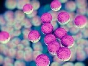 多学科讨论：口服抗生素针对性治疗革兰氏阴性血流感染是否有效？