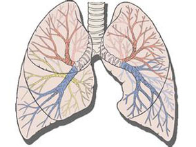 β-受体阻滞剂可降低慢性阻塞性肺病的恶化