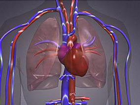 行PCI的不稳定性心绞痛患者预防性使用冠脉内腺苷对肌坏死的影响