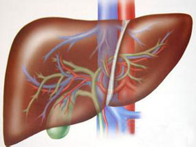 维生素K对肝硬化患者INR变化和出血事件的影响