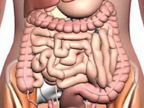 口服vs静脉铁替代疗法对IBD患者肠道菌群和代谢物的影响