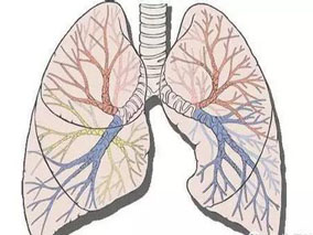 LAMA/LABA复方制剂用于治疗COPD比单药疗法更有效