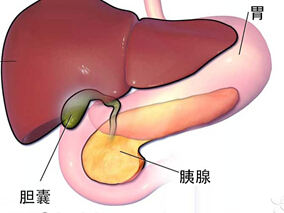 他汀可降低胆囊疾病风险？