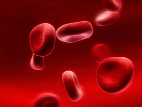 G-CSF活化血细胞移植后高剂量环磷酰胺可降低慢性GVHD发生率
