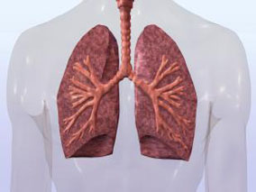 hVISA肺炎患者的住院死亡率显著高于VSSA肺炎患者