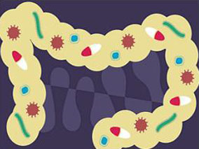 长期使用PPI会影响肠道微生物