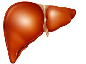 HLA-DRB1*16: 01-DQB1*05: 02是氟吡汀诱导肝损伤的遗传风险因素