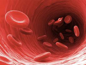 脓毒血症感染人群：抗凝药治疗的有效性和安全性