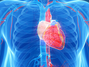 癌症患者不同蒽环类药物剂量方案心脏毒性的发生率
